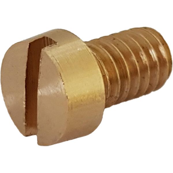 JOHNSON Slotted Cylinder Head Screw 12 - 24 UNC x 6.5, Brass (01-46794-06)