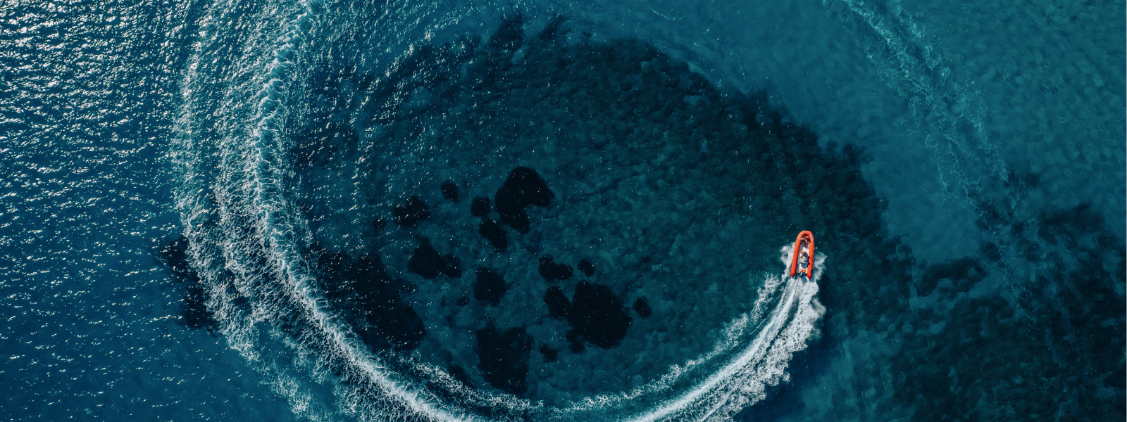 Sea Recovery