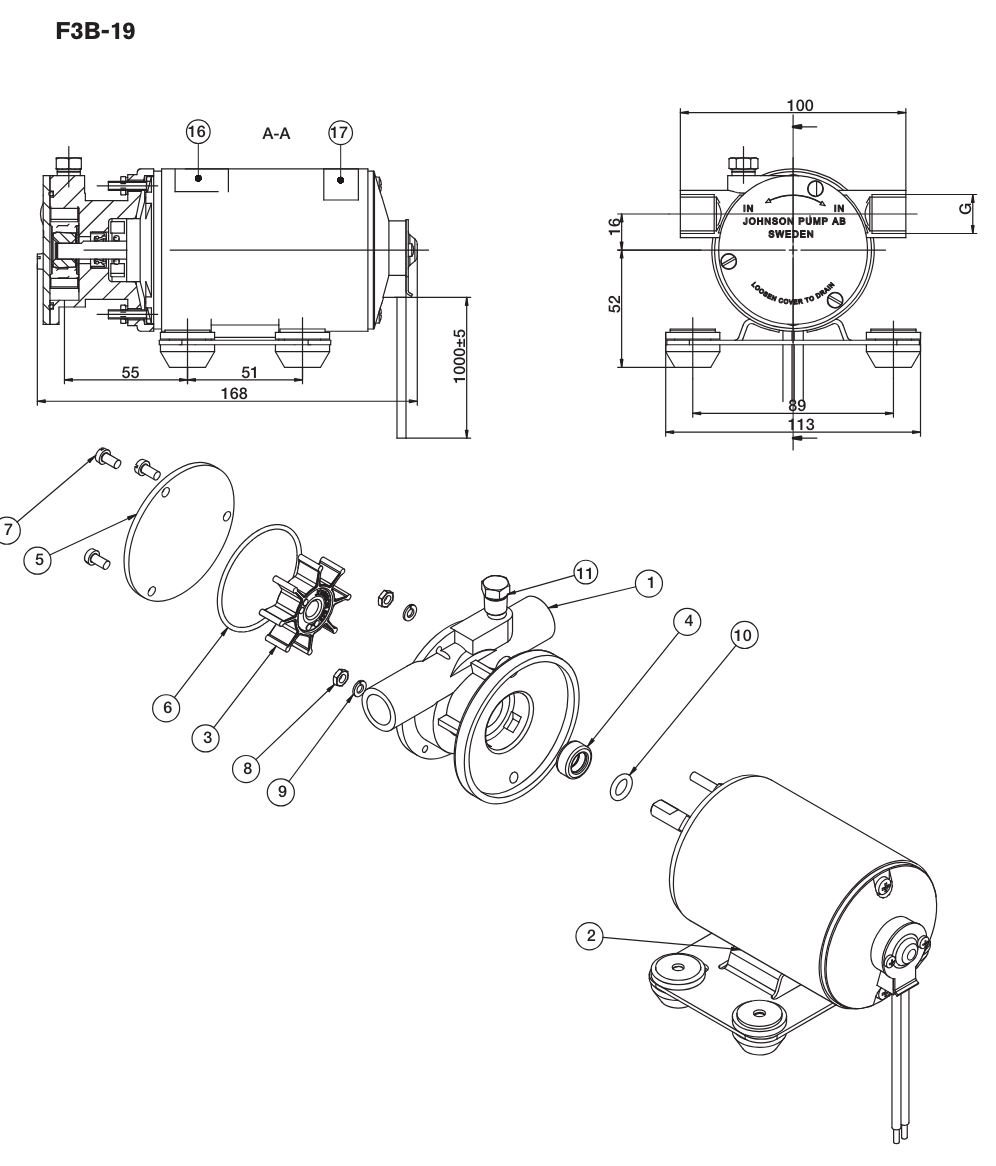 JOHNSON F3B-19 Driven Flexible Impeller Pump (12V Or 24V)