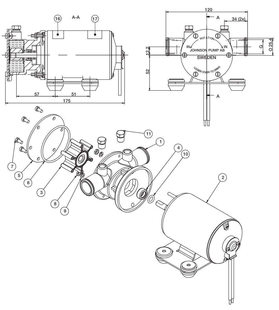 JOHNSON Flexible Impeller Pump F38B-19 12V